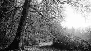 Virgin Black -  Lacrimosa  (Gather Me)