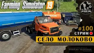 Farming Simulator 19 ● Карта Село Молоково / стрим 