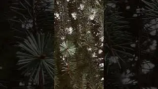 Сказочная Армения 