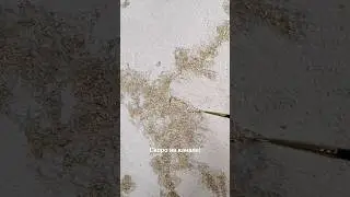 💎Фактурная штукатурка с потрясающе красивым золотом 🔥 Полный МК уже скоро! #фактурнаяштукатурка