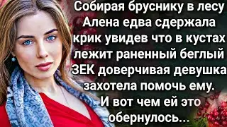 Поляна с брусникой.