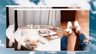 TODOS LOS FILTROS VSCO (IOS/ANDROID)