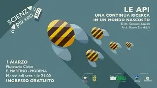 Le Api, una Continua Ricerca in un Mondo Nascosto