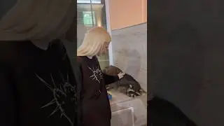 КАК Я ПЕРВЫЙ РАЗ УВИДЕЛА ЕНОТОВ… 