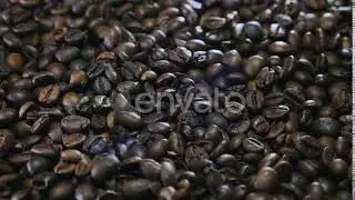 Fresh fragrant coffee beans with roasted smoke, | Stock Footage - Envato elements