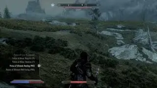 Skyrim wtf death