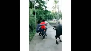 viral video of girl today viral video viral video on instagram today viral video 2021