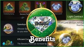 Light Contract - Benefit | #beastlord The New Land