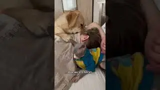 Morning doesn't start with coffee |  funny animals | #petvideos  #funnyanimalvideos