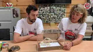 Stop the Trade and Abuse of Monkeys as Pets! Ralf Little and Alison explain how YOU can help.