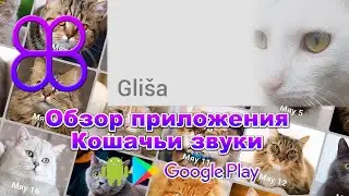 Cat Sounds App Review (Android, Google Play) [RUS/ENG]