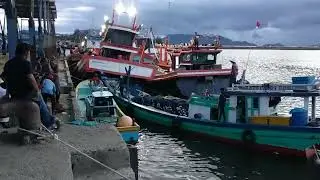 Authentic Traditional Fish Market Scenes || Best Fishing Videos