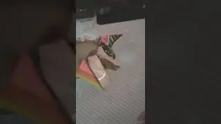Зачем ты це читаеш????
