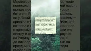История из жизни