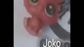 Moje ulubione lpski❤️ Opis nie gryzie
