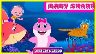 Baby Shark, Five Little Ducks, Five Little Monkeys + Kids Songs & Nursery Rhymes