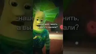 смешные видио