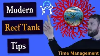 Reef Tank Tips - Time Management for Marine Tanks (NEW STRATEGIES)