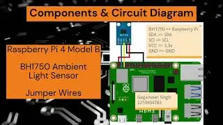 Raspberry Pi I2C | BH1750 | SIT210 Task 8.1D