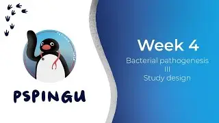 Sem 2 Week 4 Content + Week 2/3 Kahoot