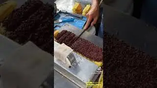 PUKIS BAR-BAR SAMPE LUBER-LUBER!