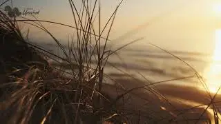 Carbon Unwind -- Sleeping Bear Dunes