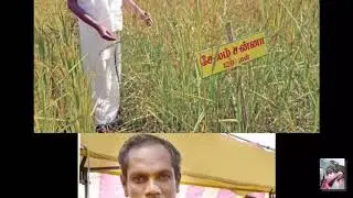 Nel Jayaraman INDIAN GOD FATHER - of farmers