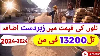 تلوں کی قیمت میں زبردست اضافہ | sesame prices today || sesame prices today in Pakistan || till price