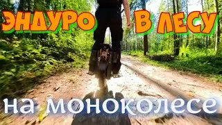 Эндурим на inmotion V14