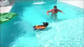 Chelutu se ineaca 🌊