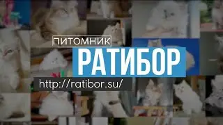 Питомник Ратибор