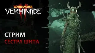 📺 Vermintide 2: Да здравствует эльфийская магия! Играем на Сестре Шипа | Патч 5.6 | Катаклизм