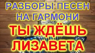 Разборы под гармонь! ТЫ ЖДЕШЬ ЛИЗАВЕТА!