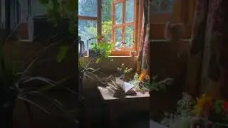Там где мама
