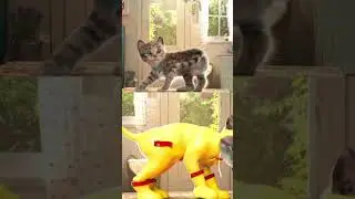 One Two Three Look at MeOW