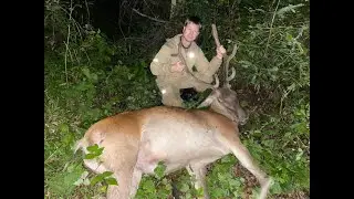 Взяли изюбря!