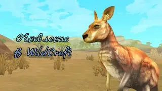 ОБНОВЛЕНИЕ В WILDCRAFT! | Добавили кенгуру? | Обзор
