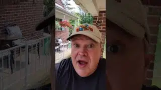 Your Comedy Minute Quickie #Red #White #joke #funny #laugh #humor #comedy #shorts