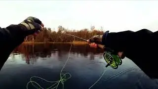 Одноручный нахлыст с лодки, скагит