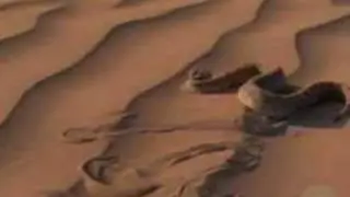 Sahara Desert