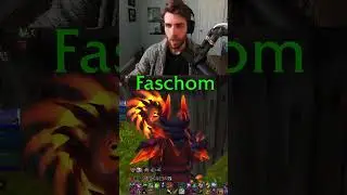 The Problem With Pet Classes In WoW...