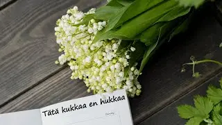 Tätä kukkaa en hukkaa - Mikko Huuhtanen