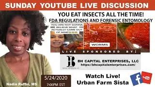 Sunday Youtube Live Discussion: You Eat Insects All the Time