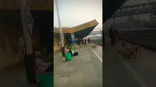 Forbesganj