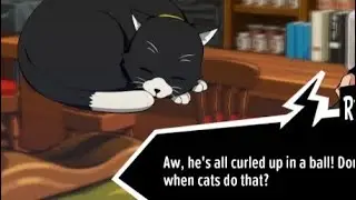 Morgana forgot he's meant to be a cat (again)