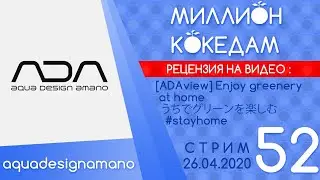 #МИЛЛИОНКОКЕДАМ-52 Рецензия: [ADAview] Enjoy greenery at home うちでグリーンを楽しむ #stayhome