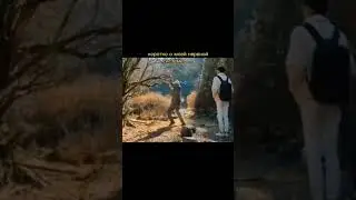 Когда психанула 😁🤣 #юмор #прикол #смешно #жиза