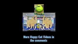 Banana Cat & Hapi Cat's Train Ride #shortsfeed #shorts #shortvideo