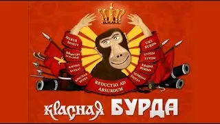 МИРУ -- СТРИМ -- 29!
