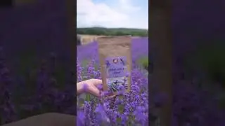 Лавандовая мука / Травы Горного Крыма
